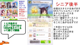 適当なアリエス杯の解説　育成動画　ラスト