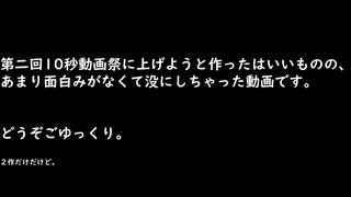 第二回10秒動画祭の供養と感謝