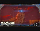 サクッとBotW【ゼルダの伝説BotW実況】#34