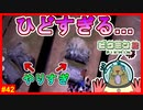 本編で攻撃が通じなかったアメボウズが2匹同時にでてくる番外編っておかしくない？【ピクミン2　#42】