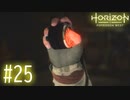 【実況】このボタンを押すと大変な事になるんじゃ #25【Horizon Forbidden West】
