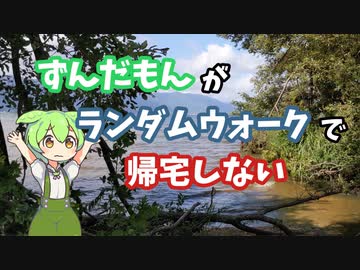 ずんだもんがランダムウォークで帰宅しない