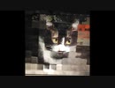 猫vsガラス