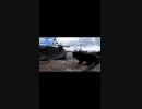 釣り人からもらった魚に興味を示さない猫島の黒猫達#Shorts【野良猫】【感動猫】