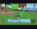 【みんごる神降臨】みんごる４でデカカップ杯を勝手に開催したTASさん【TASさんの休日】