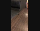 サザンオールスターズの「TUNAMI」です。