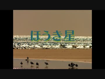 ほうき星　feat. v_flower
