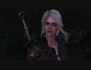 【The Witcher3 Wild Hunt】#01-3チュートリアルから