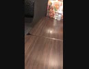 イエモンの「JAM」です