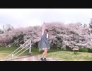 【れな】時代を超えた遊び場で【踊ってみた】