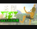【実況】英傑 vs 野生｜始まりの台地編 後編【ゼルダの伝説 ブレス オブ ザ ワイルド】
