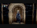 【Bloodborne実況】中年BBAのBloodborne久々プレイ　第二十八回目