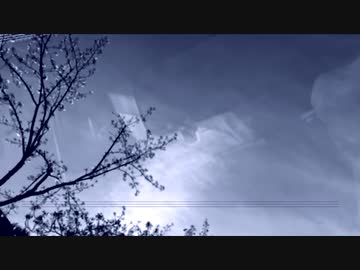 wet feat.鳴花ヒメ