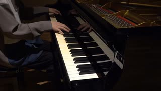 【ピアノ】「ファントムバイブレーション」を演奏してみた(self piano cover)