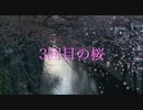 【ボカコレ】3回目の桜 (feat.初音ミク) / リリメロ【初投稿】