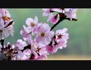 新説　白い馬
