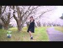 【しおるディ】  too Cute! 踊ってみた 【鹿児島】