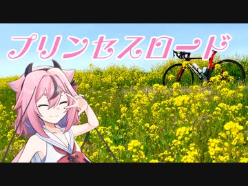 【茨城紹介祭】プリンセスロード　EP3　Exclave【ロードバイク車載】