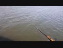 【釣りテク①】ジャンピングルアー
