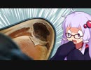【靴修理】踵に穴が開いてしまったんですが！！
