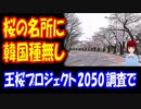 【韓国の反応】 桜の名所の 桜は 日本産だった･･･ 韓国種の 王桜は 一本もないことが 判明！ 桜の韓国起源説 ついに終焉か！ ＋ ボカコレ2022春 参加中のお知らせ