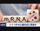 新型コロナのワクチン接種「数か月後でも起きる心臓の異常」ただ単に威張りたいだけで話の中身はどうでもいいお子ちゃまワク信陰謀論ガ―が思考0秒条件反射レッテル張りで開幕0秒ダッシュ誹謗中傷してしまう動画