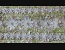 【手芸祭】お花畑な？ミニバッグ【100均素材】