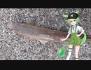 ずんだもんと釣りします【Ⅲ】サビキ釣り＋のませ釣り