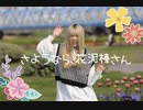 さようなら、花泥棒さん踊ってみた
