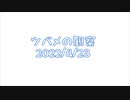ツバメの観察2022No002