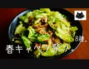 【丸ごと】春のキャベツ祭り。8種【使い切り】