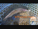 桜乃そらの「Angler Report」Part１