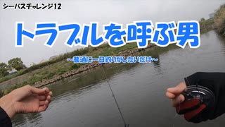 動物大集合【シーバスチャレンジ12】