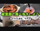 【秋葉原】食べ歩きしよう！ジュース・牛串・ケバブ・タピオカ【テイクアウト】