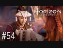【ゆっくり実況】Horizon Zero Dawn その54