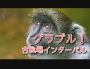 【グランブルーファンタジー Part268】光古戦場インターバル！前までできなかったことが1つできるようになった話！