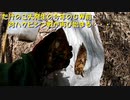 （対ハクビシン再配備回）変態忍者の、有害鳥獣駆除従事活動記・その１９４