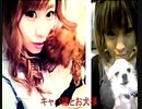 【2015年05月23日：リチャード・コシミズ 広島尾道「小津安懐かし」講演会（ 改良版 ）】