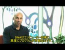 DNAと外部操作