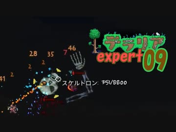 【ゲーム実況】アップデートされたテラリアを上級モードで遊ぶ 09【テラリア】
