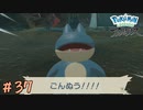 【実況】ごんぬぅ！！！！【ポケモンレジェンズアルセウス】37