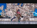 【Ray-mmd】ザラが桜屋敷でGETCHA!