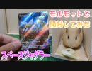 【ポケカ開封】『スペースジャグラー』モルモットと開封するんやで～【モルモット】