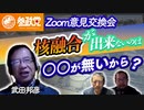 核融合が出来ないのは○○が無いから？～武田邦彦に訊く～【党員zoom意見交換会】