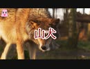 山犬【ゆっくり怪談】【怖い話】　不可解な体験・謎な話
