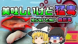 【2009年沖縄】家族で楽しんだ白身魚 美味しいけど実は猛毒…【ゆっくり解説】