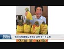 台湾産パイナップル、中国依存から脱却
