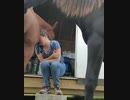 ホモと見る　泣いてる女の子を抱きしめるお馬さん