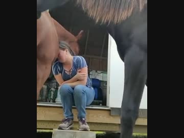 ホモと見る　泣いてる女の子を抱きしめるお馬さん