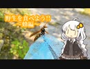 【VOICEROIDキッチン】野生を食べよう!!《アシナガバチ編》